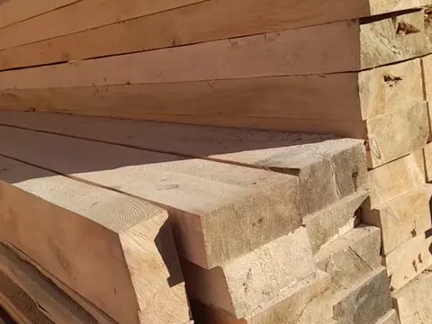 ბელორუსული ფიჭვის დაუმუშავებელი ფიცრების გროვა ეზოში.